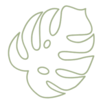 monstera-icone-seve-moi1.png